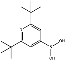 2,6-BIS(TERT-BUTYL)PYRIDINE-4-BORONIC ACID Structure