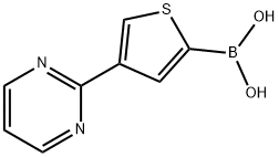 4-(Pyrimidin-2-yl)thiophene-2-boronic acid Structure