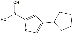 4-(Cyclopentyl)thiophene-2-boronic acid Structure