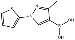 3-Methyl-1-(2-thienyl)pyrazole-4-boronic acid Structure