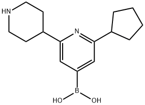 2-Cyclopentyl-6-(piperidin-4-yl)pyridine-4-boronic acid 구조식 이미지