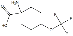 1-amino-4-(trifluoromethoxy)cyclohexane-1-carboxylic acid Structure