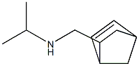 ({bicyclo[2.2.1]hept-5-en-2-yl}methyl)(propan-2-yl)amine Structure