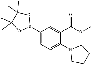 methyl 2-(pyrrolidin-1-yl)-5-(4,4,5,5-tetramethyl-1,3,2-dioxaborolan-2-yl)benzoate Structure