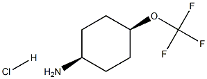 cis-4-Trifluoromethoxy-cyclohexylamine hydrochloride Structure