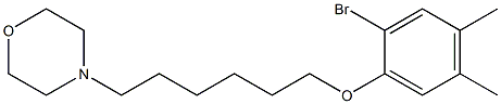 4-[6-(2-bromo-4,5-dimethylphenoxy)hexyl]morpholine Structure