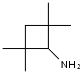 2,2,4,4-tetramethylcyclobutan-1-amine Structure