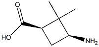 (1R,3S)-3-amino-2,2-dimethylcyclobutane-1-carboxylic acid Structure