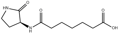 (S)-7-oxo-7-((2-oxopyrrolidin-3-yl)amino)heptanoic acid 구조식 이미지