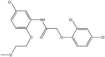 N-[5-chloro-2-(2-methoxyethoxy)phenyl]-2-(2,4-dichlorophenoxy)acetamide 구조식 이미지