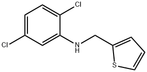 2,5-dichloro-N-(thiophen-2-ylmethyl)aniline 구조식 이미지