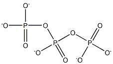 triphosphate ion Structure