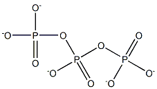Triphosphate Structure