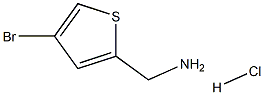 (4-BROMOTHIOPHEN-2-YL)METHANAMINEHCL Structure