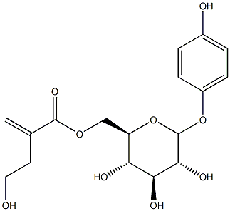 4-hydroxyphenyl-6-O-(4-hydroxy-2-methylenebutanoyl)glucopyranoside Structure