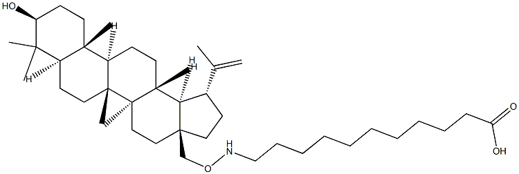 betulinylaminoundecanoic acid Structure