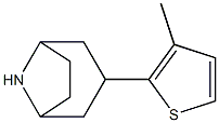 3-(3-methylthiophen-2-yl)-8-azabicyclo[3.2.1]octane Structure