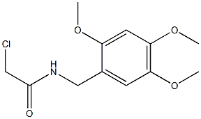 2-CHLORO-N-(2,4,5-TRIMETHOXYBENZYL)ACETAMIDE Structure