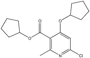 CYCLOPENTYL 6-CHLORO-4-(CYCLOPENTYLOXY)-2-METHYLNICOTINATE 구조식 이미지