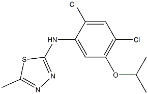 N-(2,4-dichloro-5-isopropoxyphenyl)-5-methyl-1,3,4-thiadiazol-2-amine 구조식 이미지