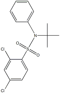 N-(tert-butyl)-2,4-dichloro-N-phenylbenzenesulfonamide Structure