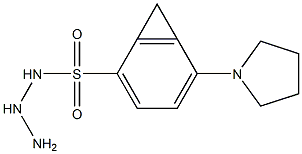 N1-hydrazino(tetrahydro-1H-pyrrol-1-yl)methylidenebenzene-1-sulfonamide Structure
