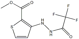 methyl 3-[2-(2,2,2-trifluoroacetyl)hydrazino]thiophene-2-carboxylate Structure