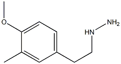 1-(4-methoxy-3-methylphenethyl)hydrazine 구조식 이미지