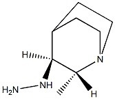 trans-(2-Methyl-1-aza-bicyclo[2.2.2]oct-3-yl)-hydrazine Structure