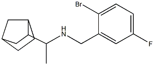 (1-{bicyclo[2.2.1]heptan-2-yl}ethyl)[(2-bromo-5-fluorophenyl)methyl]amine Structure