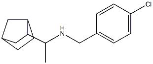 (1-{bicyclo[2.2.1]heptan-2-yl}ethyl)[(4-chlorophenyl)methyl]amine 구조식 이미지