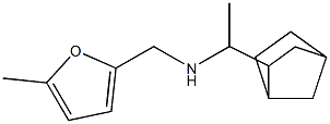 (1-{bicyclo[2.2.1]heptan-2-yl}ethyl)[(5-methylfuran-2-yl)methyl]amine 구조식 이미지