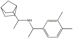 (1-{bicyclo[2.2.1]heptan-2-yl}ethyl)[1-(3,4-dimethylphenyl)ethyl]amine 구조식 이미지