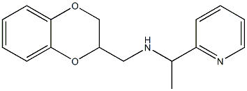 (2,3-dihydro-1,4-benzodioxin-2-ylmethyl)[1-(pyridin-2-yl)ethyl]amine Structure