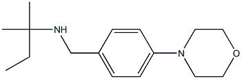 (2-methylbutan-2-yl)({[4-(morpholin-4-yl)phenyl]methyl})amine Structure