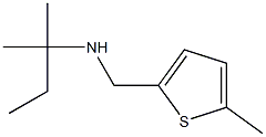 (2-methylbutan-2-yl)[(5-methylthiophen-2-yl)methyl]amine Structure