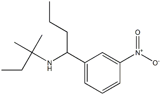 (2-methylbutan-2-yl)[1-(3-nitrophenyl)butyl]amine Structure