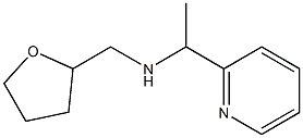 (oxolan-2-ylmethyl)[1-(pyridin-2-yl)ethyl]amine 구조식 이미지