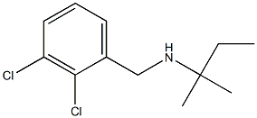 [(2,3-dichlorophenyl)methyl](2-methylbutan-2-yl)amine Structure