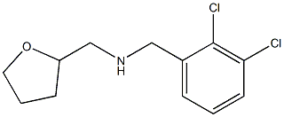 [(2,3-dichlorophenyl)methyl](oxolan-2-ylmethyl)amine Structure