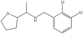 [(2,3-dichlorophenyl)methyl][1-(oxolan-2-yl)ethyl]amine 구조식 이미지