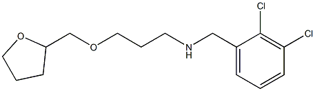 [(2,3-dichlorophenyl)methyl][3-(oxolan-2-ylmethoxy)propyl]amine Structure