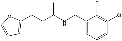 [(2,3-dichlorophenyl)methyl][4-(furan-2-yl)butan-2-yl]amine 구조식 이미지
