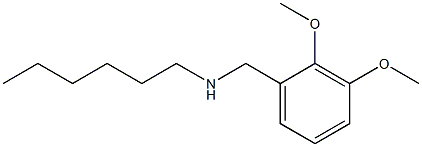 [(2,3-dimethoxyphenyl)methyl](hexyl)amine Structure