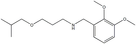 [(2,3-dimethoxyphenyl)methyl][3-(2-methylpropoxy)propyl]amine Structure