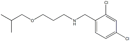 [(2,4-dichlorophenyl)methyl][3-(2-methylpropoxy)propyl]amine Structure