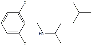 [(2,6-dichlorophenyl)methyl](5-methylhexan-2-yl)amine 구조식 이미지