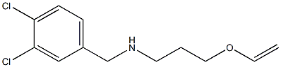 [(3,4-dichlorophenyl)methyl][3-(ethenyloxy)propyl]amine 구조식 이미지