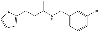 [(3-bromophenyl)methyl][4-(furan-2-yl)butan-2-yl]amine 구조식 이미지