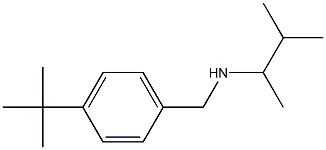 [(4-tert-butylphenyl)methyl](3-methylbutan-2-yl)amine Structure